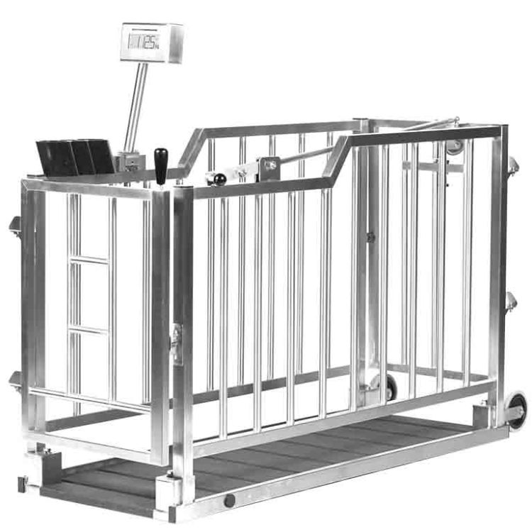 Portable Weighing Scale